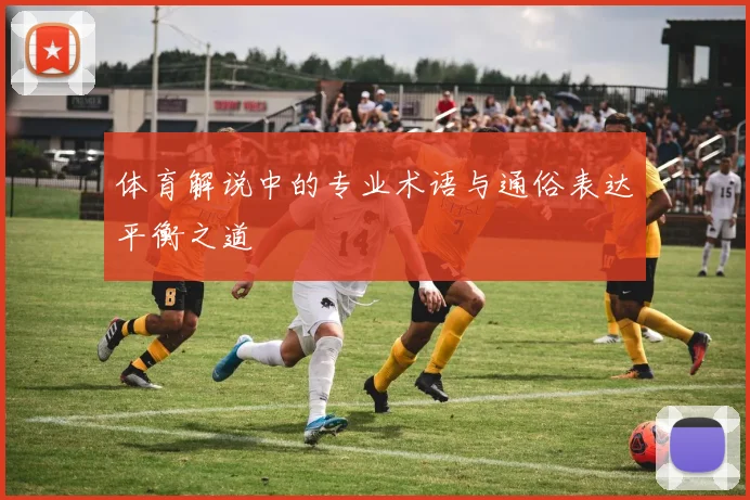 体育解说中的专业术语与通俗表达平衡之道