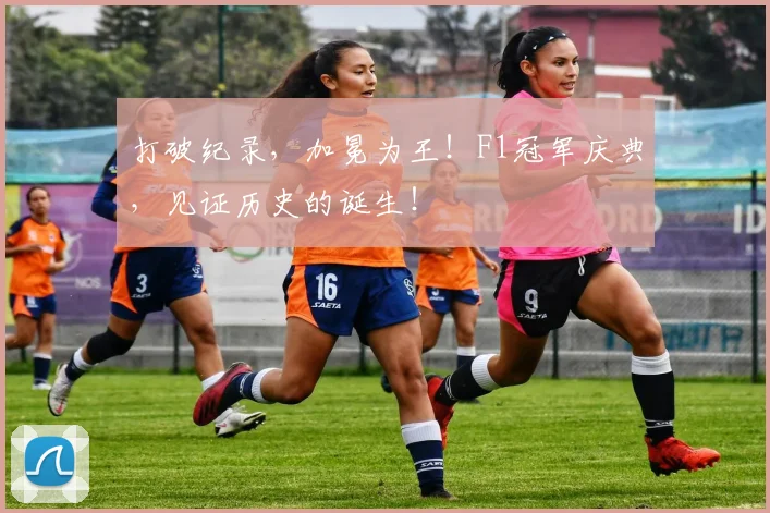 打破纪录，加冕为王！F1冠军庆典，见证历史的诞生！