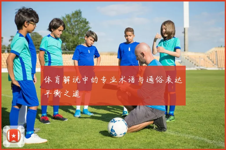 体育解说中的专业术语与通俗表达平衡之道